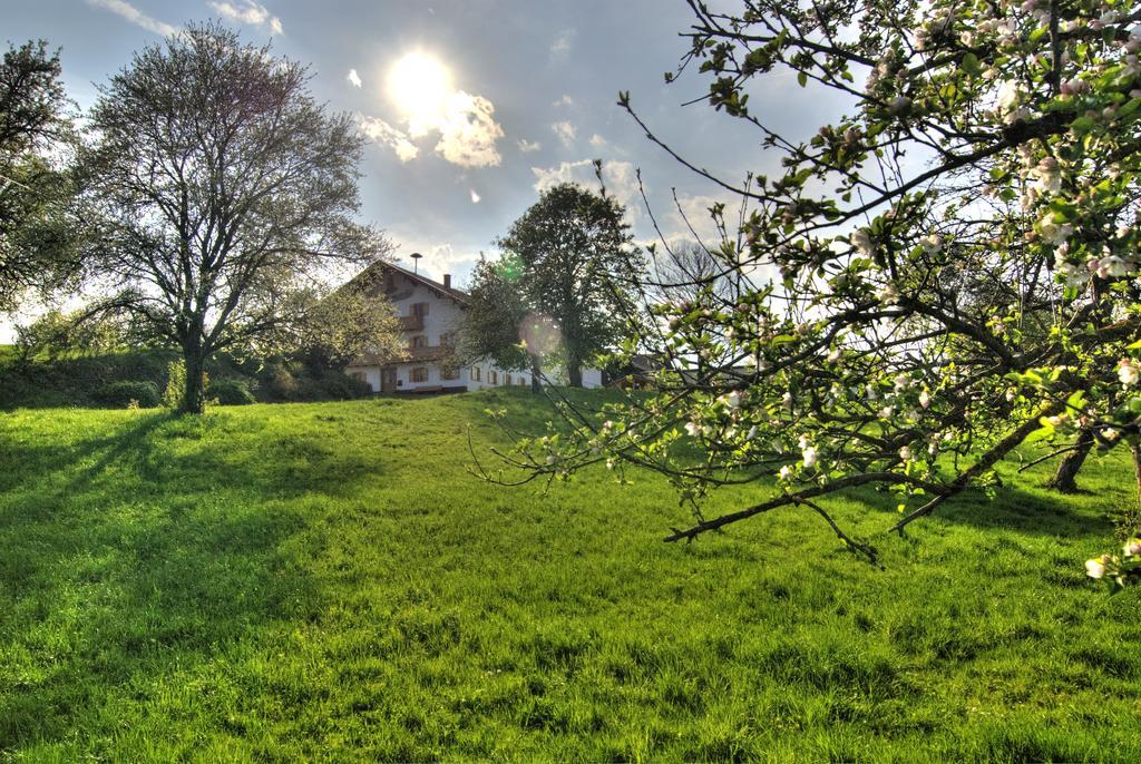 Bio Ferienhof Heiler Apartman Feldkirchen-Westerham Kültér fotó